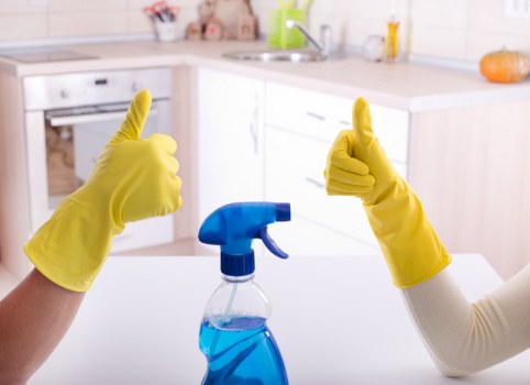 Manager handling a carpet cleaner complaint escalation