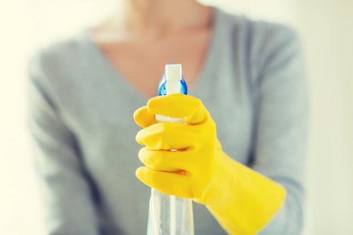Carpet and sofa stain removal service in Slade Green