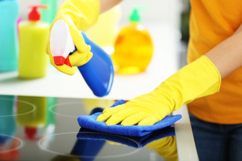 Screen-reader compatible web content for carpet cleaning services