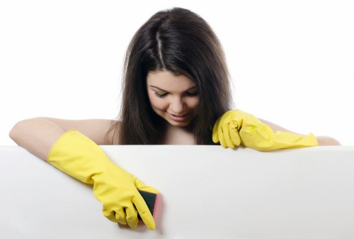 Accessibility request information for a local cleaning business website